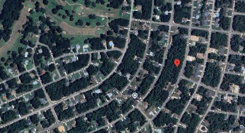 8116 N TRIANA DRIVE CITRUS SPRINGS FL 34434