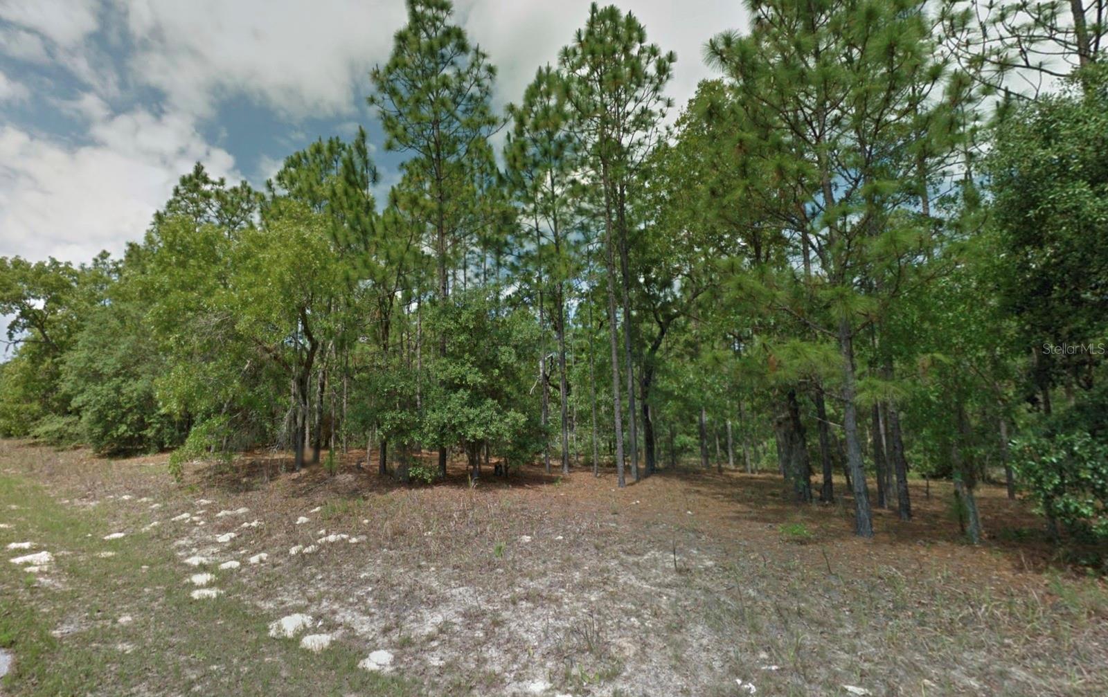 CITRUS SPGS UNIT 07 - Land