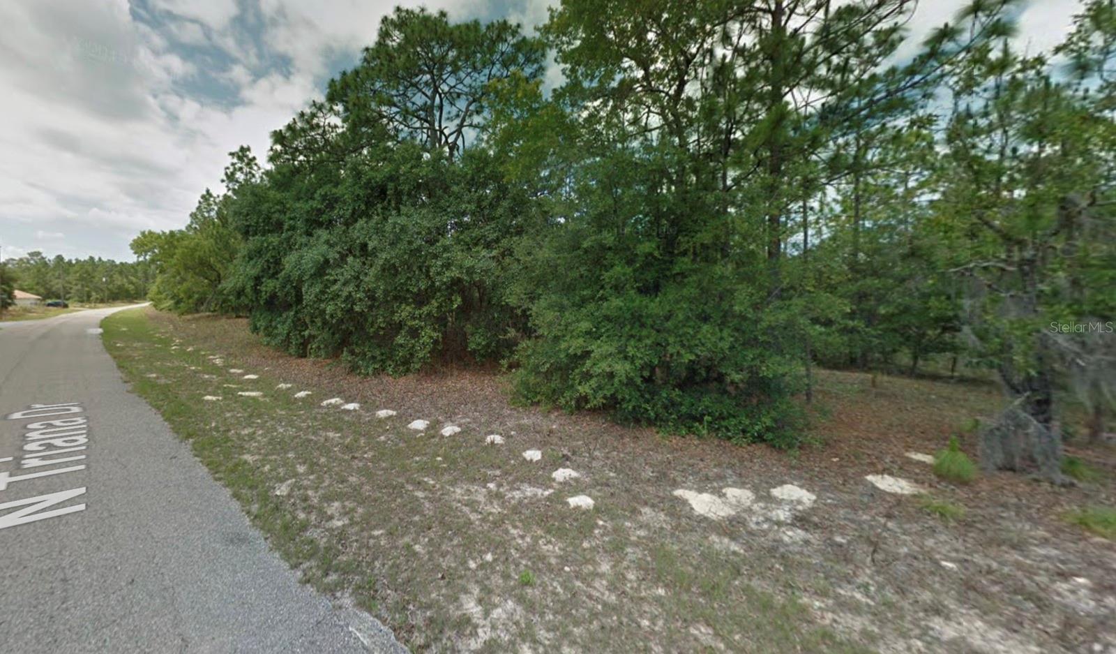 CITRUS SPGS UNIT 07 - Land