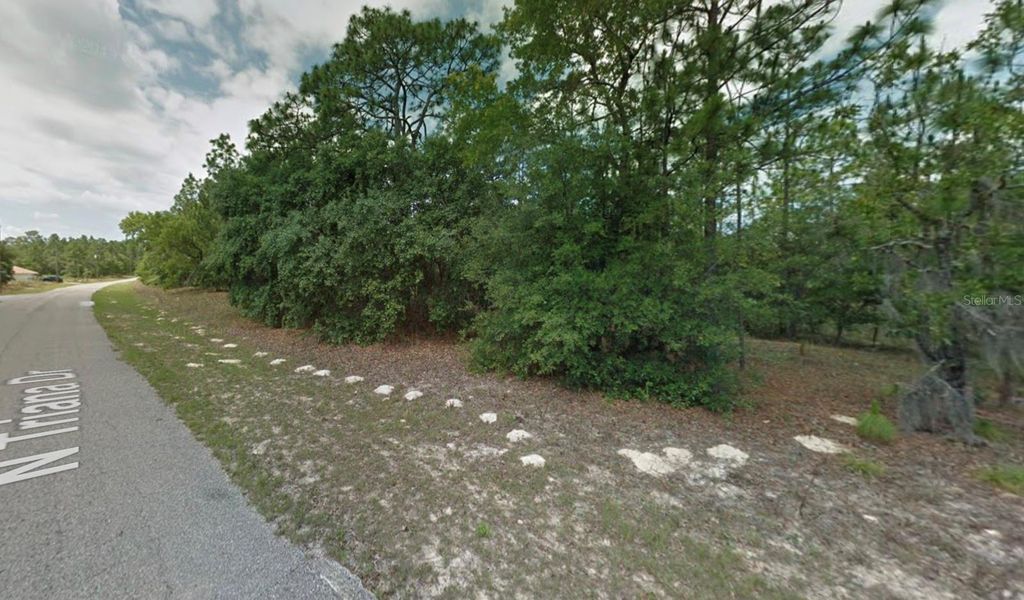 Photo of 8116 N Triana Drive, Citrus Springs, FL 34434 (MLS # OM714137)