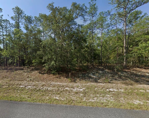 Tiny photo for 608 E Bimini Drive, Dunnellon, FL 34434 (MLS # TB8526158)