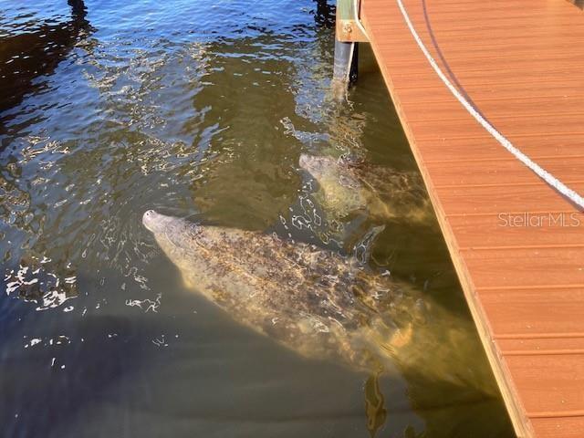 RIVERHAVEN VILLAGE - Residential