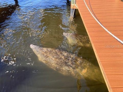 Tiny photo for 5275 S Stetson Point Drive, Homosassa, FL 34448 (MLS # G5095269)