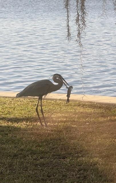 RIVERHAVEN VILLAGE - Residential