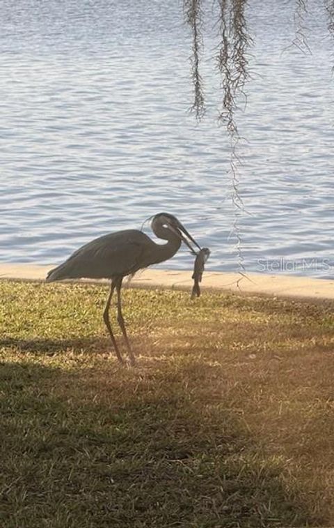 Tiny photo for 5275 S Stetson Point Drive, Homosassa, FL 34448 (MLS # G5095269)