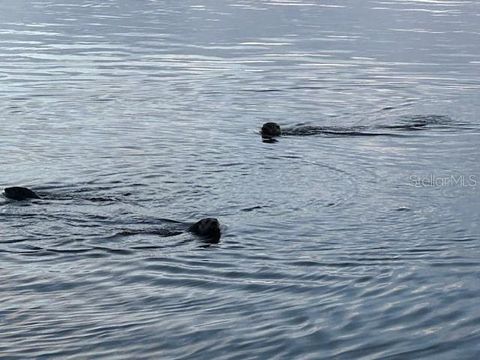 Tiny photo for 5275 S Stetson Point Drive, Homosassa, FL 34448 (MLS # G5095269)