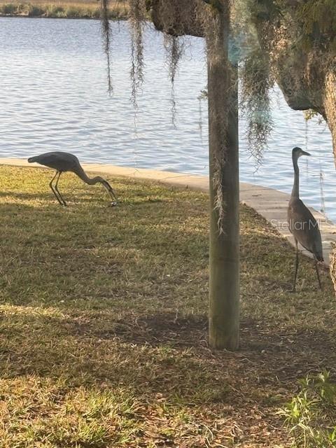 RIVERHAVEN VILLAGE - Residential