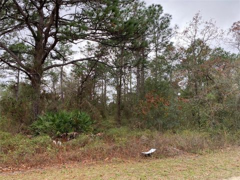 A home in WEEKI WACHEE