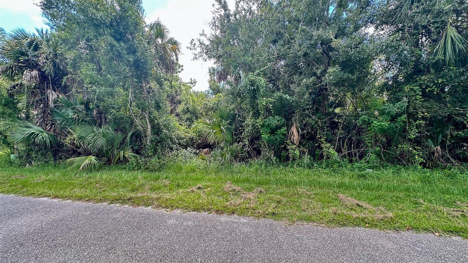 PORT CHARLOTTE SUB 01 - Land