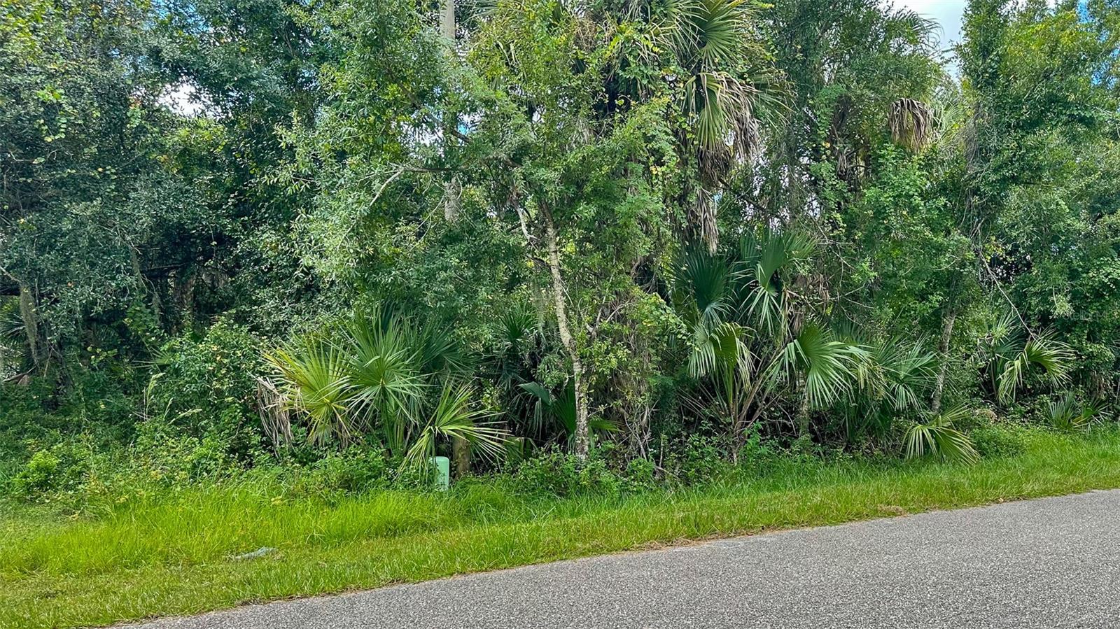 PORT CHARLOTTE SUB 01 - Land