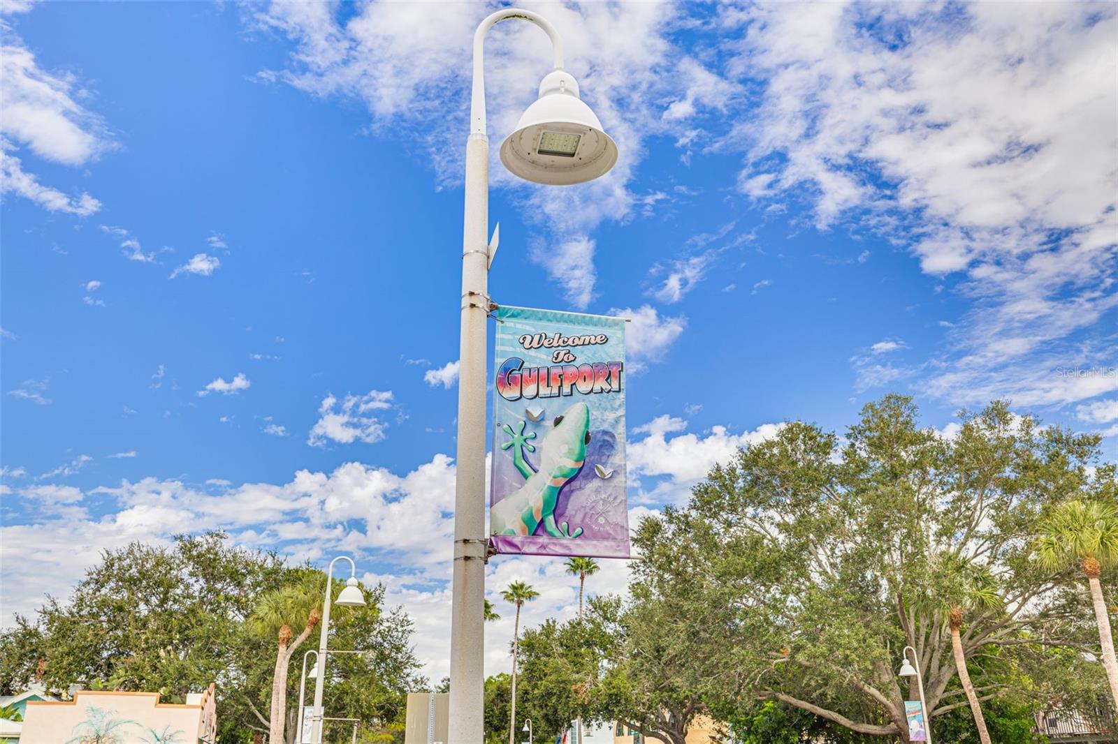 BOCA CEIGA PARK - Residential