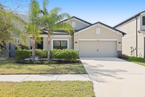 Photo of 11421 Amapola Bloom Court, Riverview, FL 33579 (MLS # TB8480134)