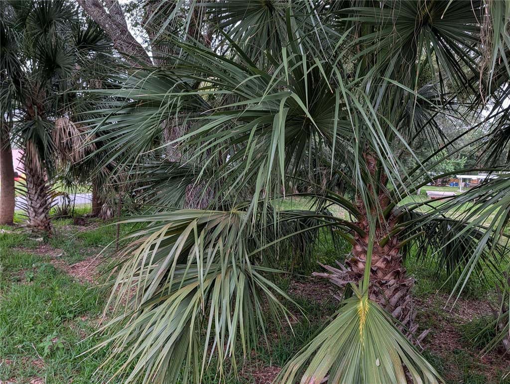 Photo of Weeki Wachee, FL 34607 (MLS # TB8517558)