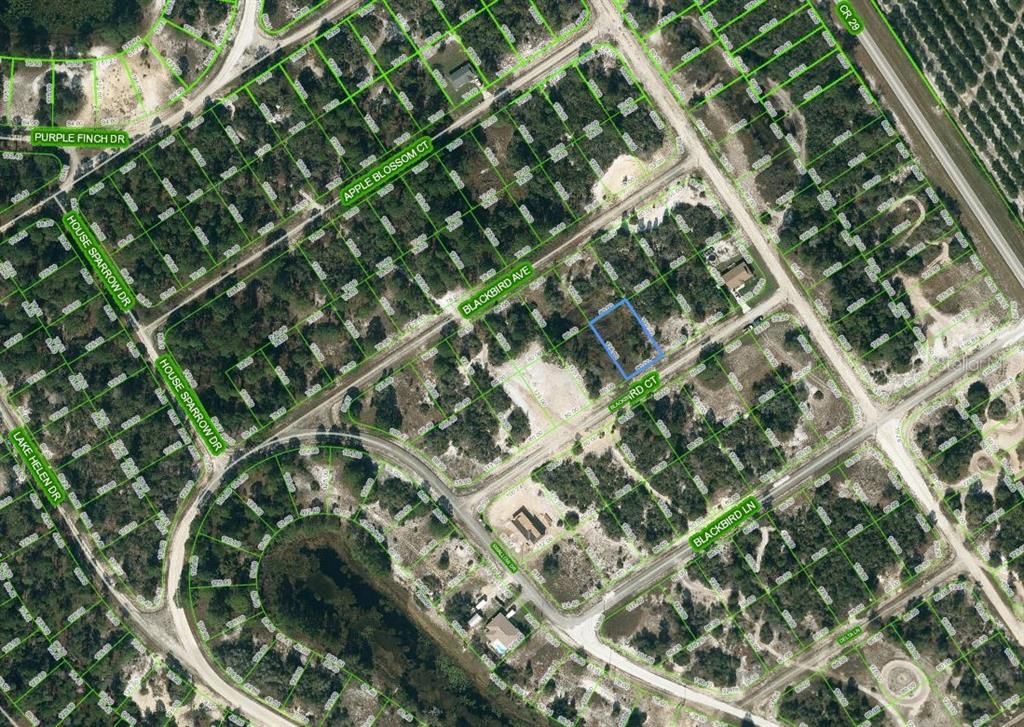 Photo of 452 Blackbird Court, Lake Placid, FL 33852 (MLS # OM624321)