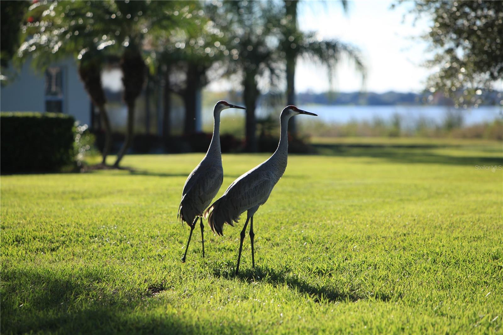 WINTERSET 03 A CONDO PH 01 - Residential