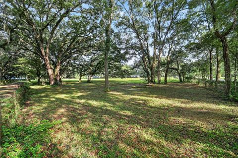 Tiny photo for 14210 NW Highway 464b, Morriston, FL 32668 (MLS # OM727720)