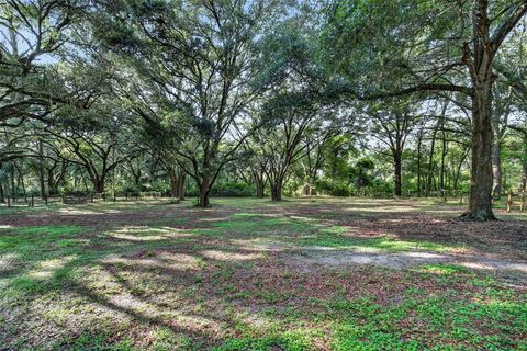 Tiny photo for 14210 NW Highway 464b, Morriston, FL 32668 (MLS # OM727720)