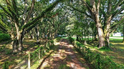 Tiny photo for 14210 NW Highway 464b, Morriston, FL 32668 (MLS # OM727720)