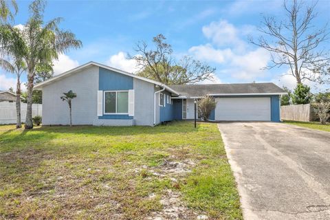 A home in DELTONA