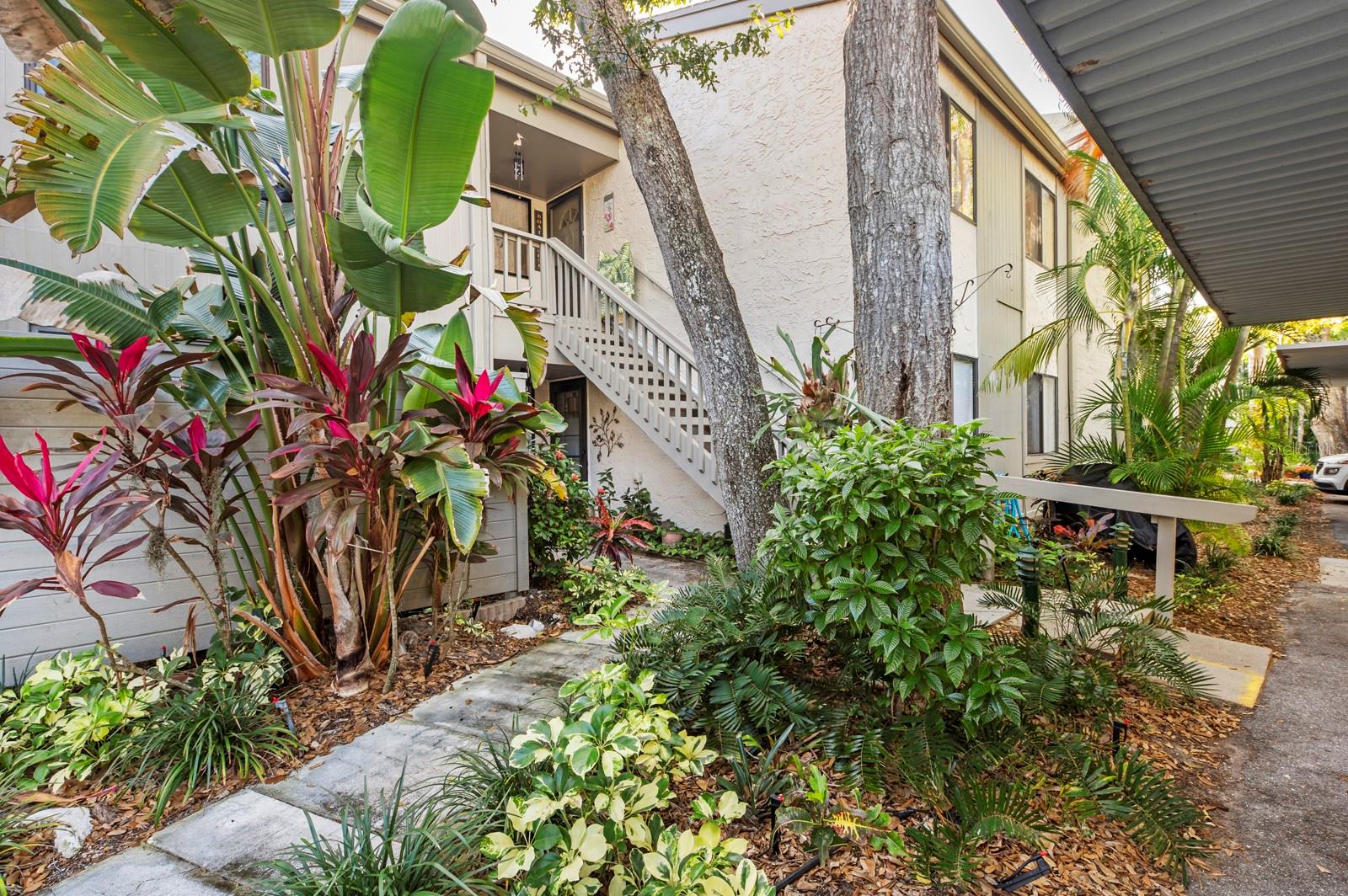 PELICAN COVE XI - Residential