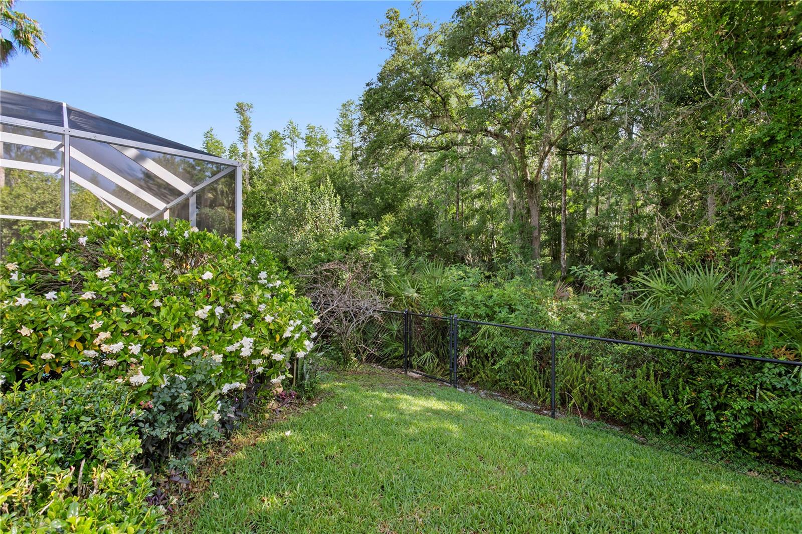 ARBOR GREENE PH 1 - Residential