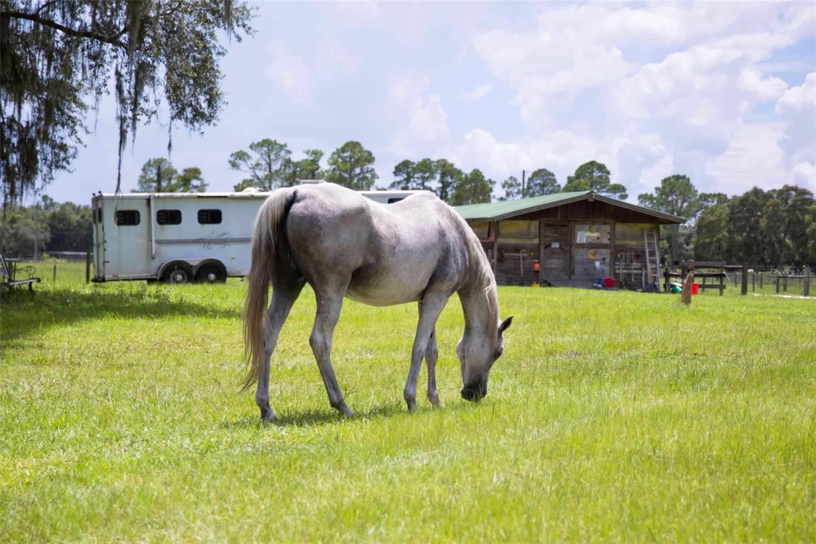 PIERSON ACREAGE - Residential