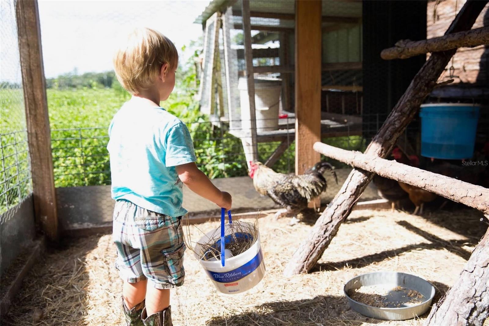 PIERSON ACREAGE - Residential