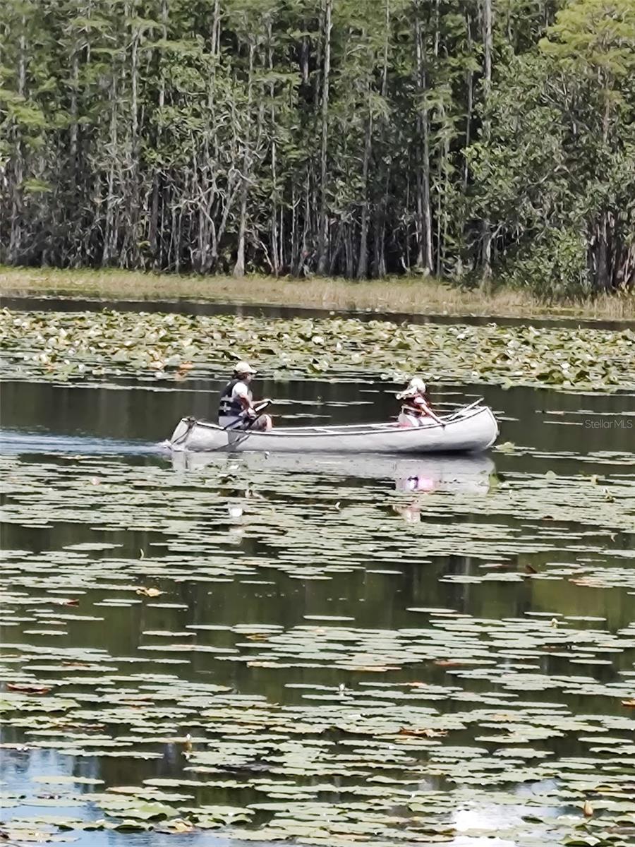 PIERSON ACREAGE - Residential