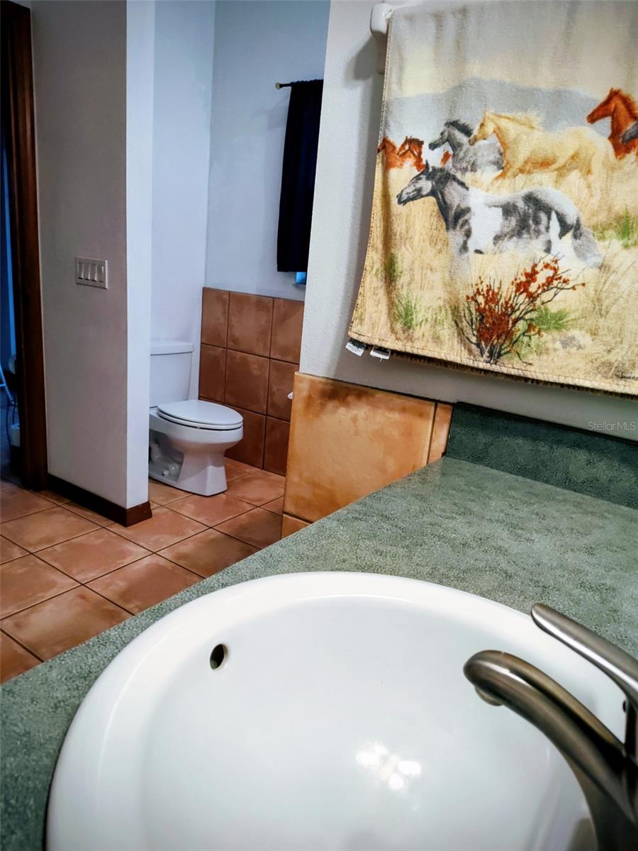 PIERSON ACREAGE - Residential