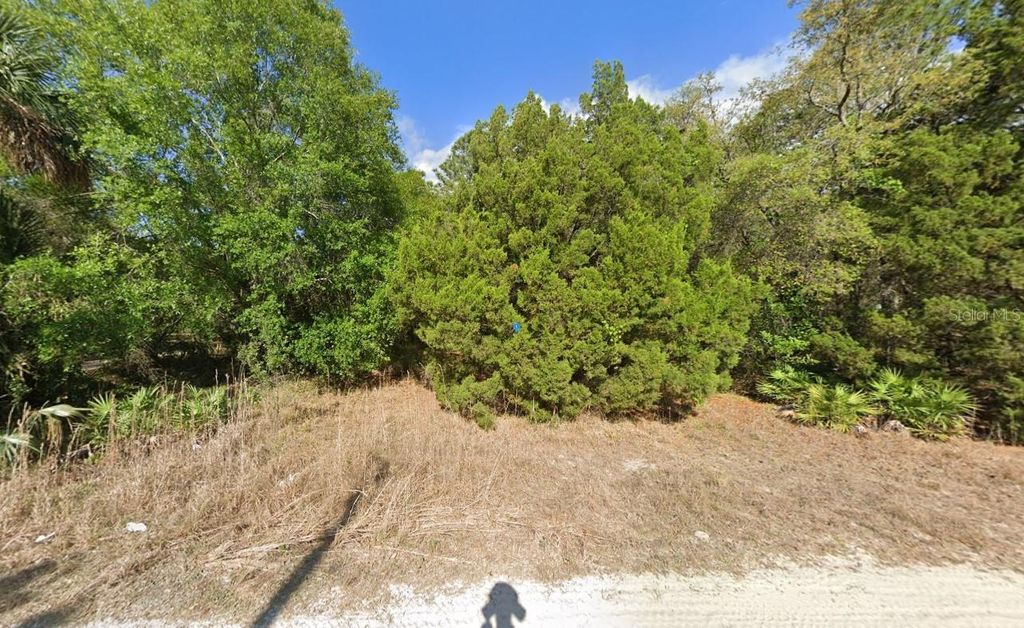 Photo of 11372 S Ann Point, Homosassa, FL 34448 (MLS # A4681577)