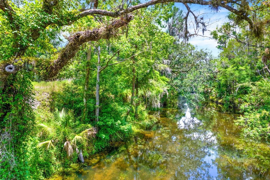 Photo of 1115 Myrtle Road, Valrico, FL 33596 (MLS # TB8430395)