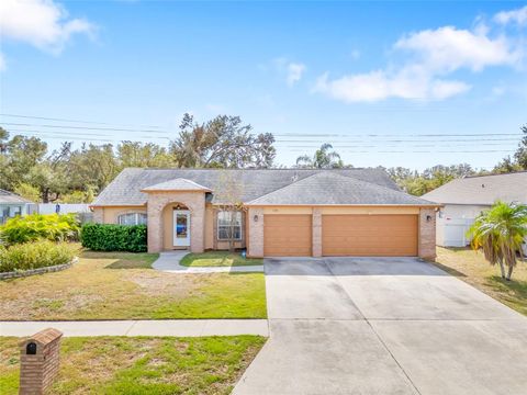 A home in RIVERVIEW