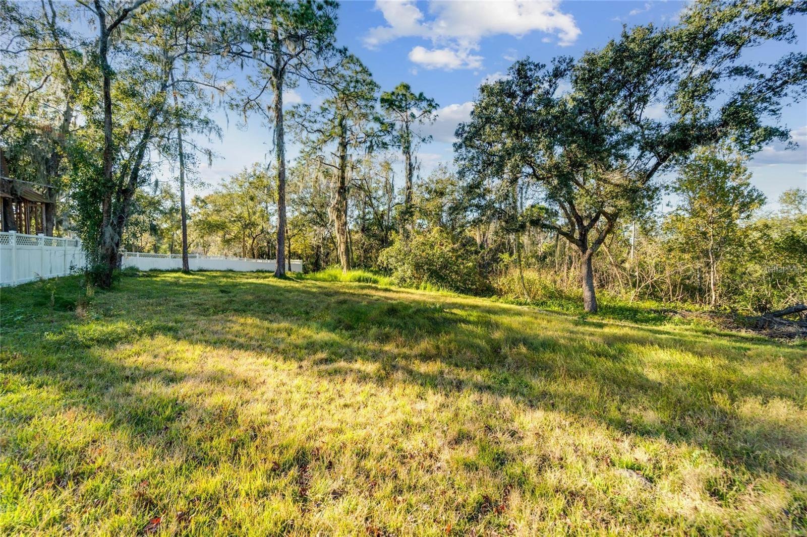 SHADOW RUN UNIT 2 - Land