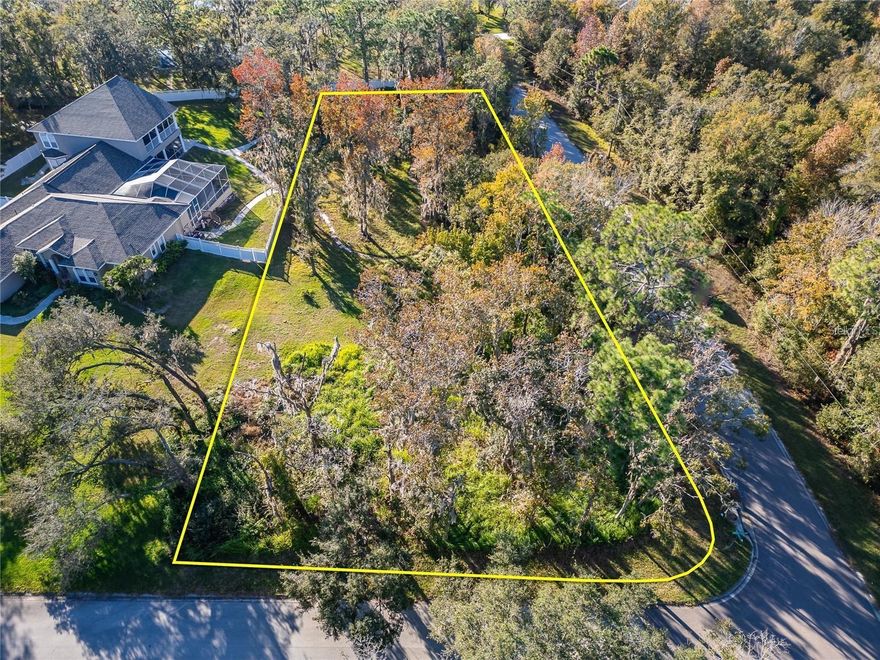 Rarely available and full of potential. This vacant corner lot located in the desirable Shadow Run community is the opportunity buyers wait for… and hard to find. Set on a spacious corner parcel, this property offers added privacy, flexibility in design, and enhanced curb appeal, perfect for creating a custom home that truly stands out. Located in the established and nature-inspired Shadow Run community, residents enjoy a unique blend of tranquility and space, surrounded by mature trees, larger homesites, and a peaceful atmosphere that’s becoming increasingly hard to find in today’s fast-growing market. NO CDD and Low HOA. Bring your toys here, space for your RV, boats, or car collection.  Easy access to major roadways, shopping, dining, and Tampa. Strong demand area with continued residential growth, a rare chance to secure land in a community where availability is extremely limited. Whether you're looking to build your dream home, invest, or hold for future appreciation, this lot offers the kind of opportunity that doesn’t come around often.