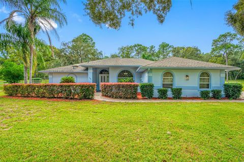 A home in HERNANDO