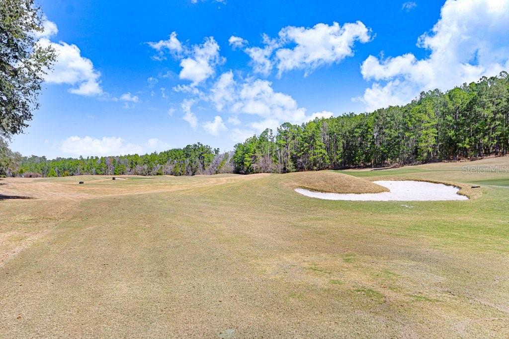 SOUTHERN HILLS PLANTATION PH 1 - Residential