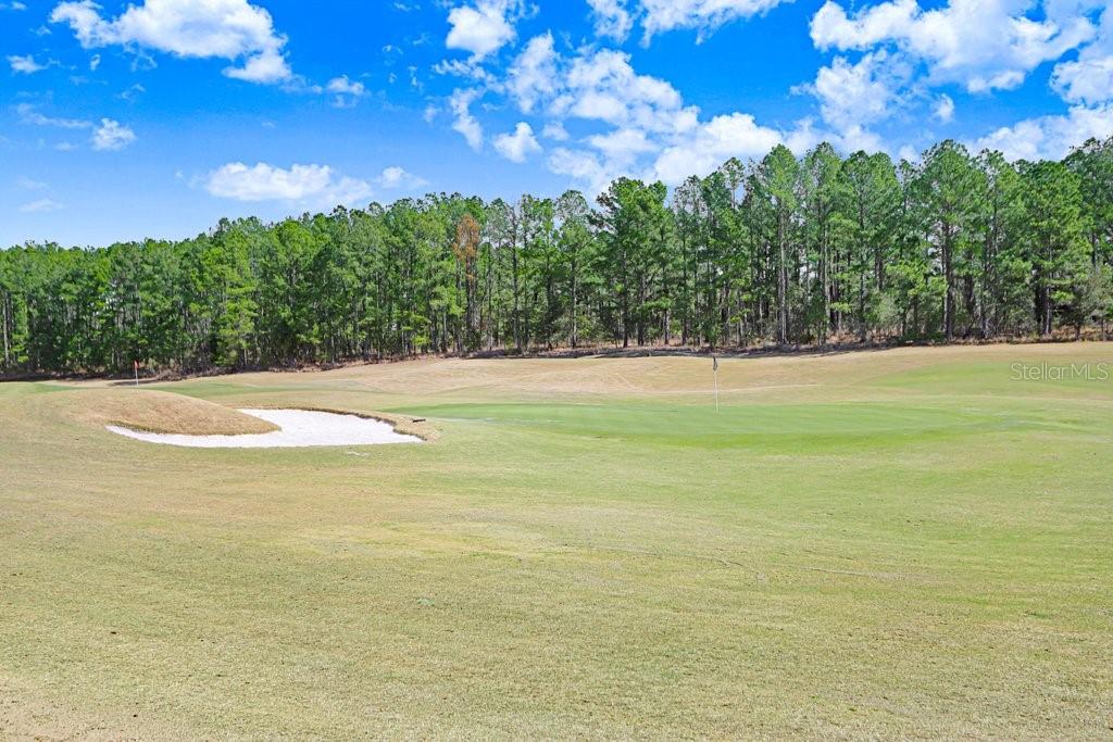 SOUTHERN HILLS PLANTATION PH 1 - Residential