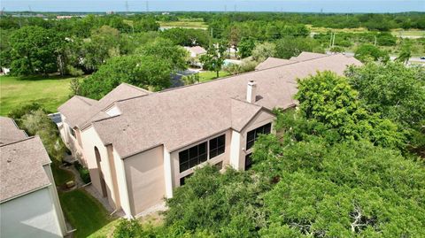 A home in PALM HARBOR