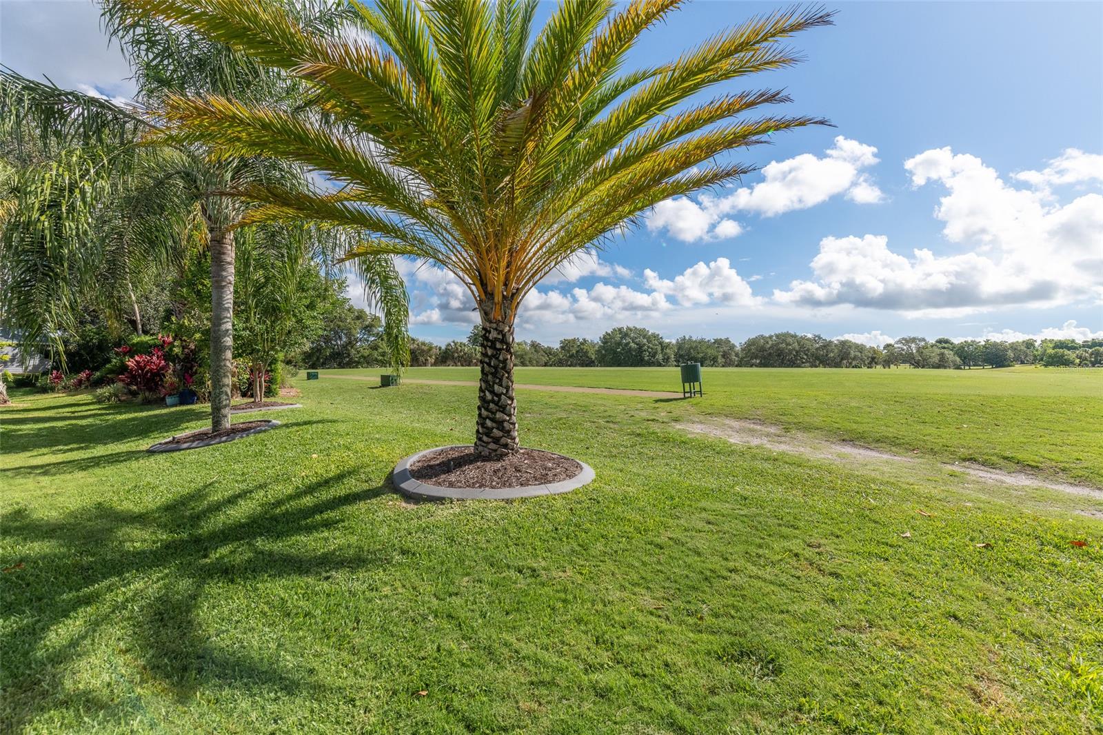 Meadows Sugar Mill - Residential