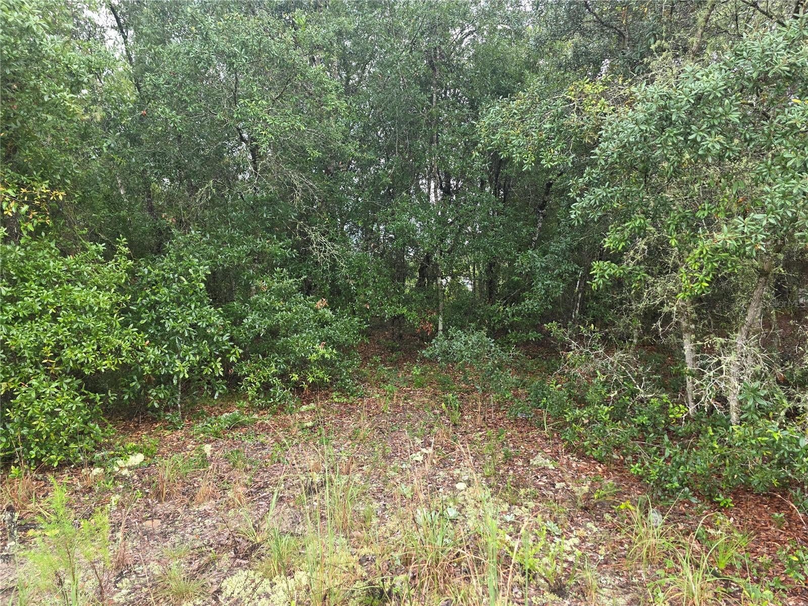 Lot 16 SW MARINE BOULEVARD