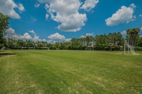 A home in PALM HARBOR