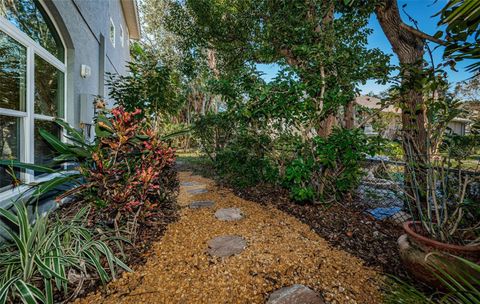 A home in PALM HARBOR