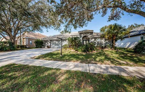 A home in PALM HARBOR