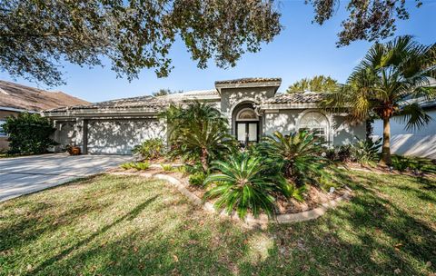 A home in PALM HARBOR