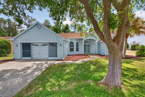 Photo of 11755 SW 79th Circle, Ocala, FL 34476 (MLS # FC317937)
