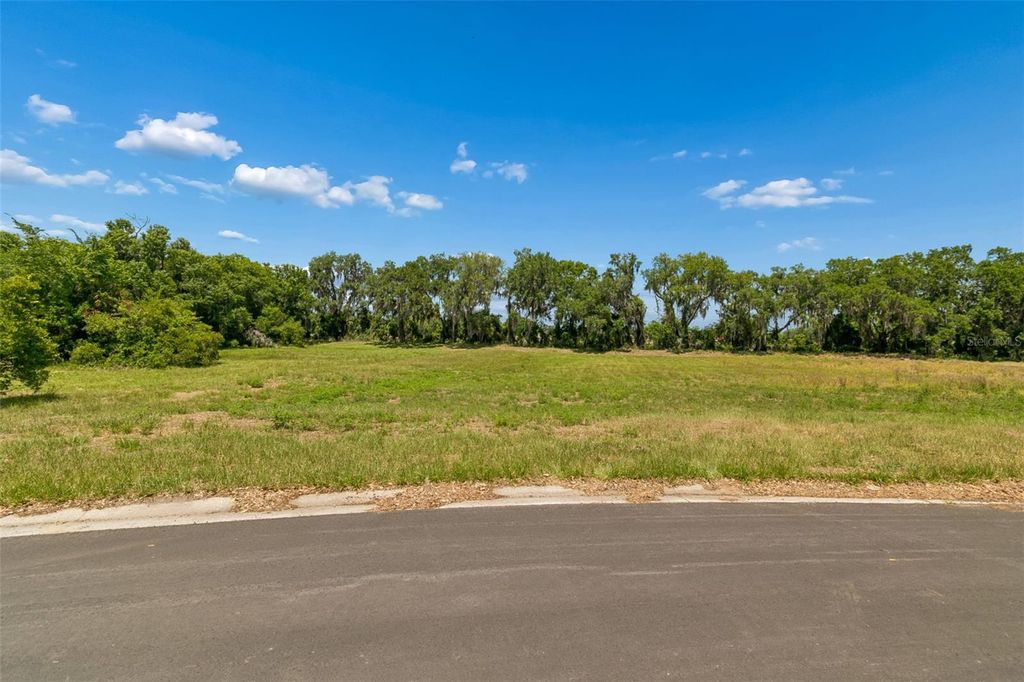 Photo of 2827 Mystic Oaks Drive, Plant City, FL 33563 (MLS # TB8503408)