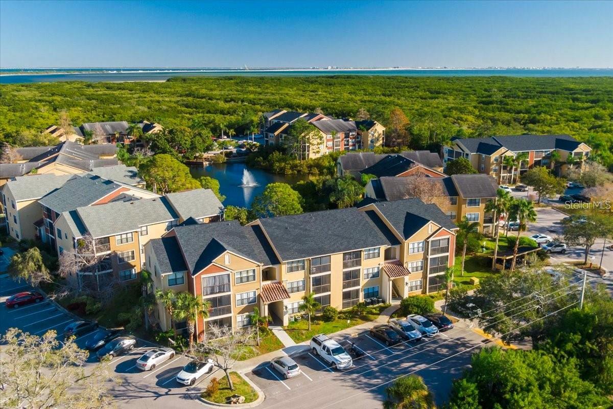 Welcome to paradise! BayPointe Preserve Condos is nestled in a gated community with 12.8 acre preserve yet conveniently located on 4th Street North in the Gateway area. This gorgeous condo is a One bedroom, and One bathroom fully furnished, and everything included with white beveled kitchen cabinets, granite countertops, stainless steel appliances, living area has sofa sleeper and master bedroom has king size bed with huge walk in closet and full-size front load washer & dryer. High ceilings and luxury vinyl plank floors throughout. Located on the 1st floor with covered screened - in patio & storage room. Rent Includes: Electricity, Cable TV, Internet, Water & Sewer and Trash Collection. Min lease is 3 months. Pets are welcomed. BayPointe Preserve is a resort style community with a clubhouse, fitness center, swimming pool & spa, cabanas, outside lounge area overlooking the lakes, outdoor picnic tables & grills, covered bike rack areas, and car wash. Perfectly located between the Howard Frankland Bridge and the Gandy Bridge on 4th St. N. with easy access to shopping, restaurants, 275, Downtown St. Pete, MacDill AFB and our beautiful beaches