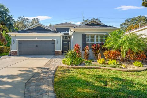 A home in LITHIA