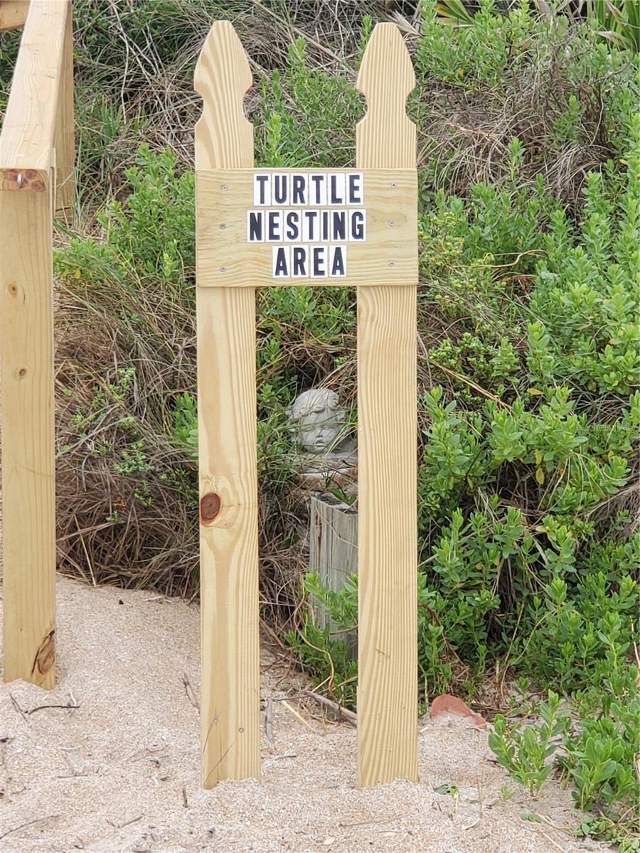 BETHUNE VOLUSIA BEACH - Residential