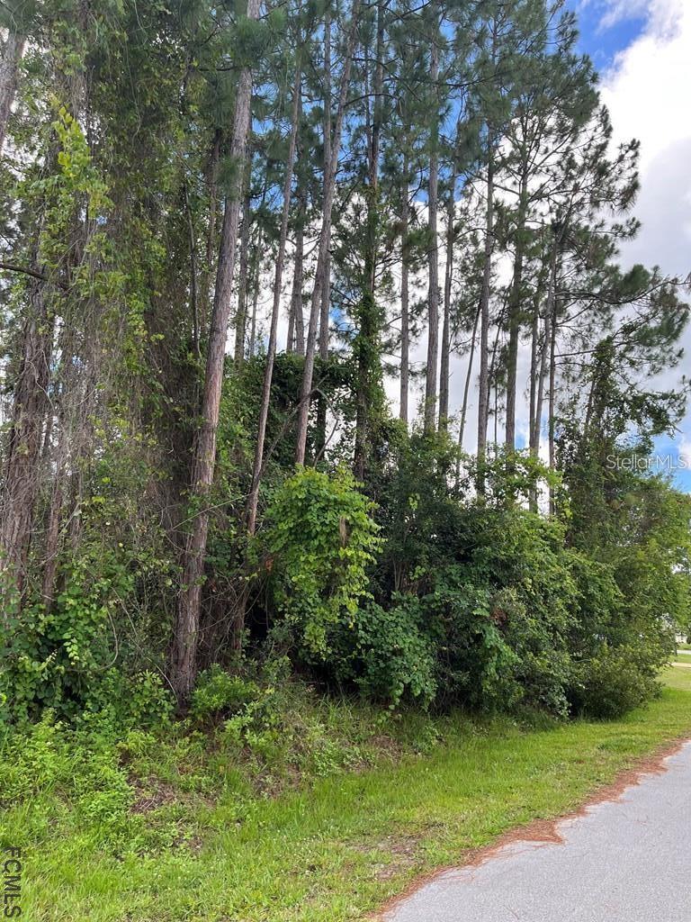 85 PORT ROYAL DRIVE